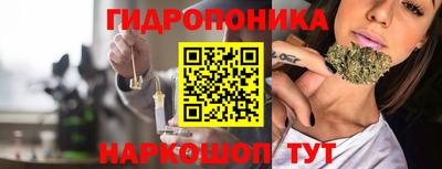 гашик Кандалакша