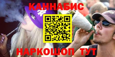гашик Кандалакша